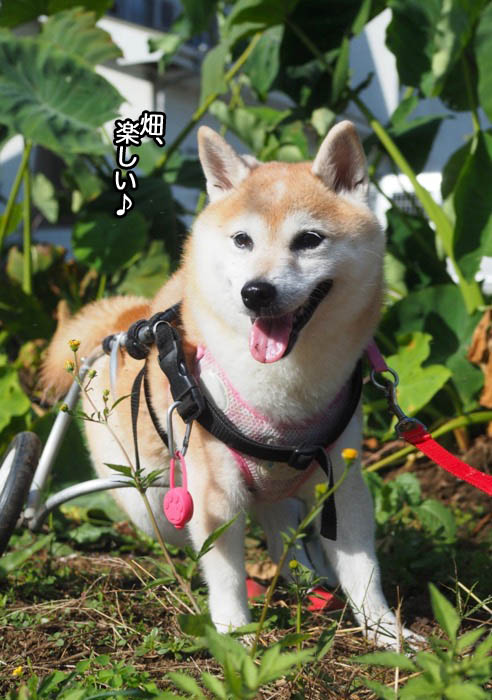 8日ブログ５