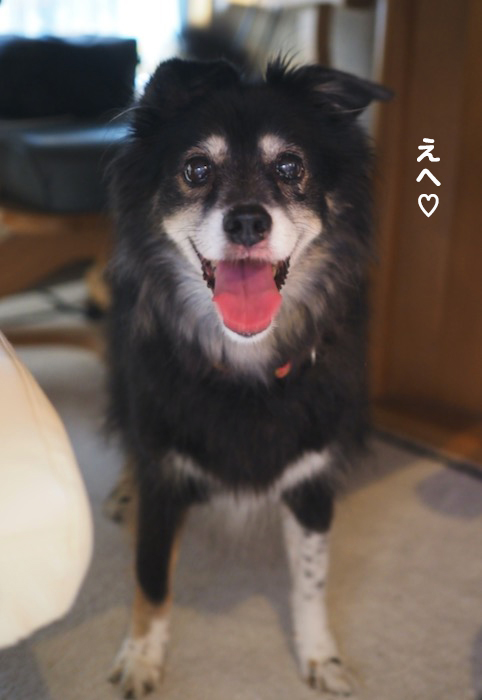 13日夕ブログ２
