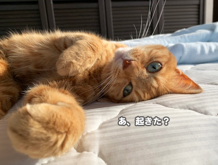 27日夕ブログ２