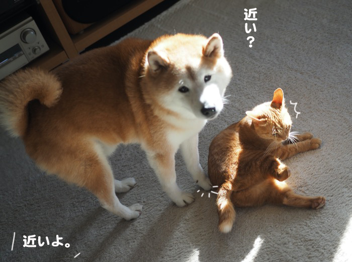 29日ブログ３