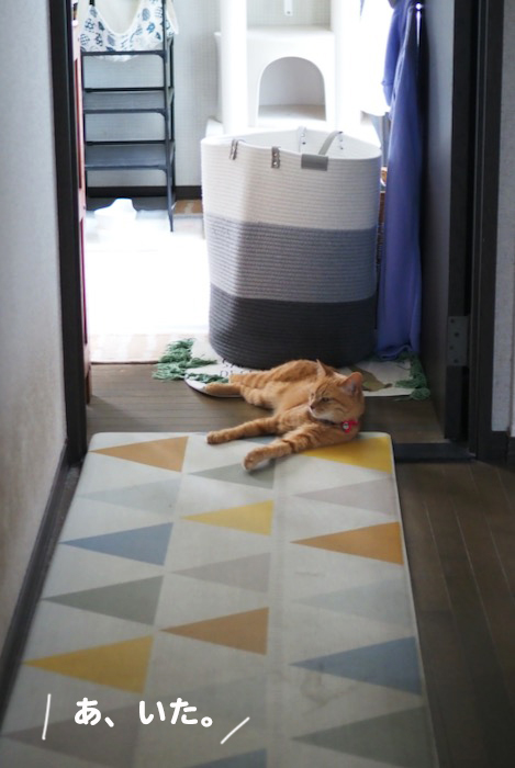 23日夕ブログ２