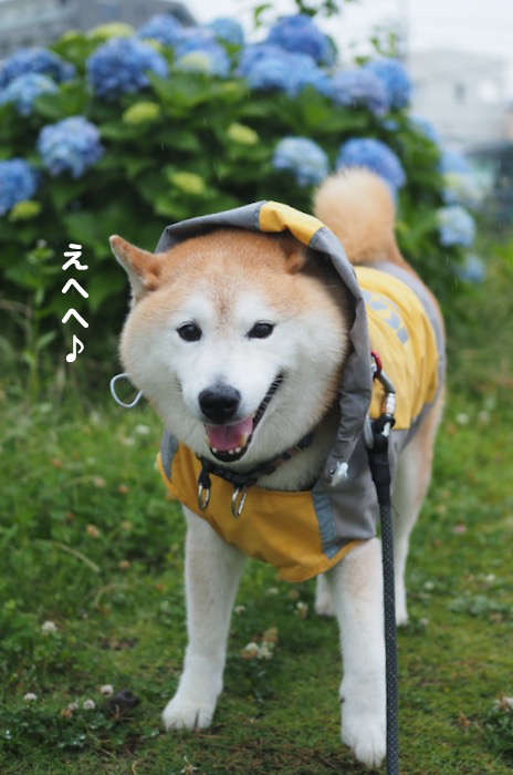 22日夕ブログ5