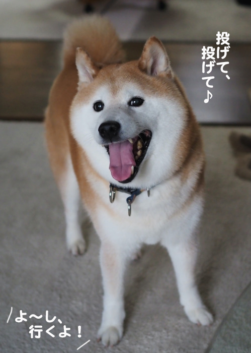 15日ブログ４