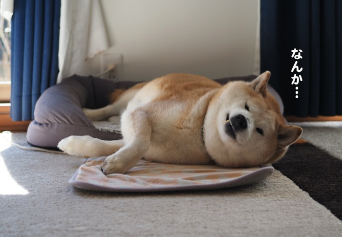 26日夕ブログ４