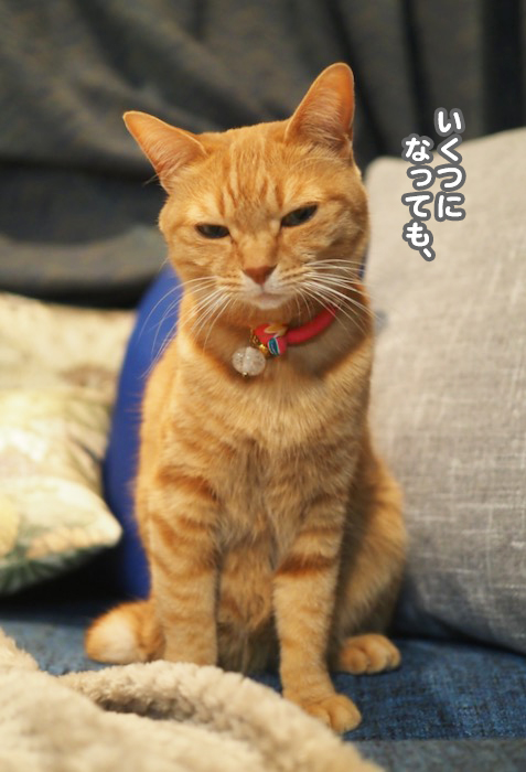 6日夕ブログ５