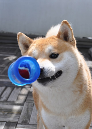 8日ブログ3.jpg