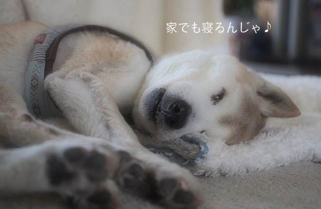 10日ブログ6