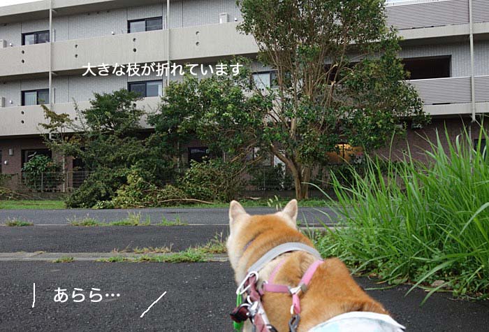 9日朝ブログ４
