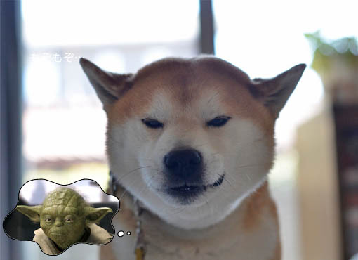27日ブログ8.jpg