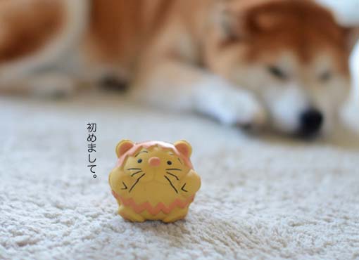 21日ブログ5.jpg