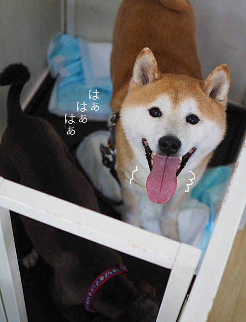 9日ブログ2