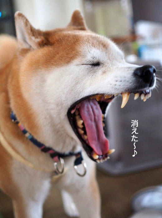 4日ブログ１４