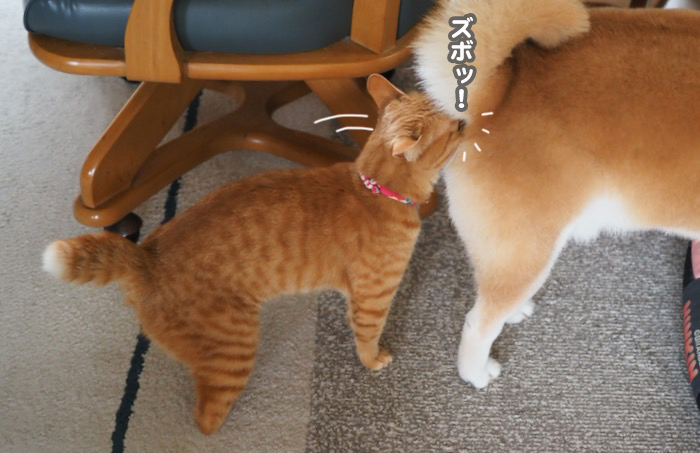 8日夕ブログ３