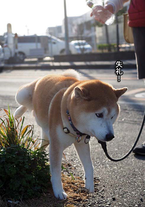 10日夜ブログ５