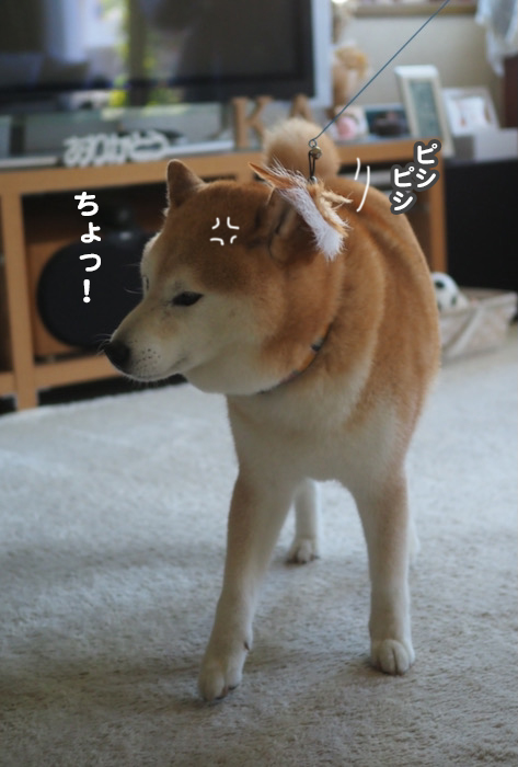 21日夕ブログ１２