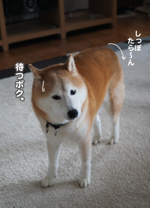 20日夕ブログ７