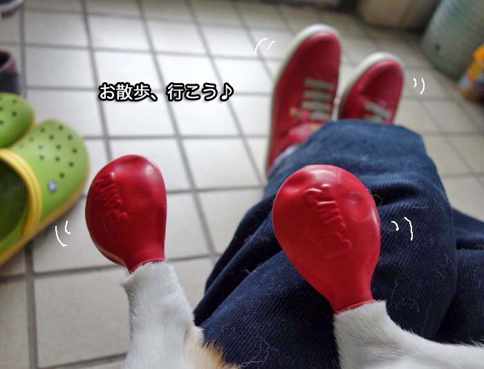 5日夜ブログ２