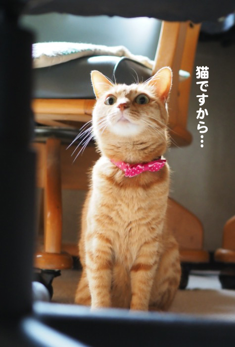 3日ブログ３