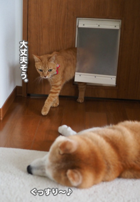 24日夕ブログ８