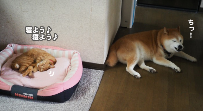 29日夕ブログ３