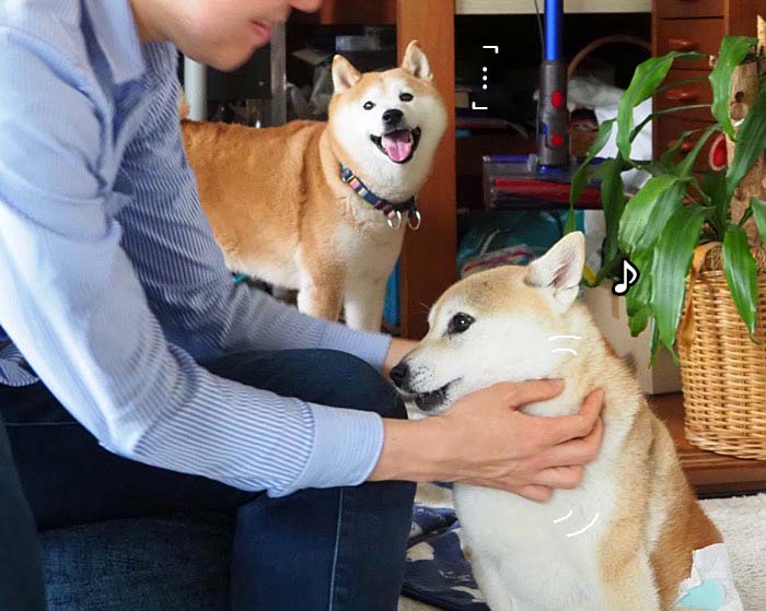 8日ブログ３