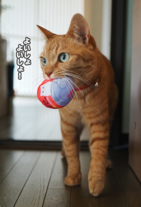 15日夕ブログ８