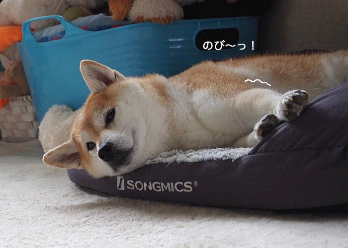 30日ブログ６