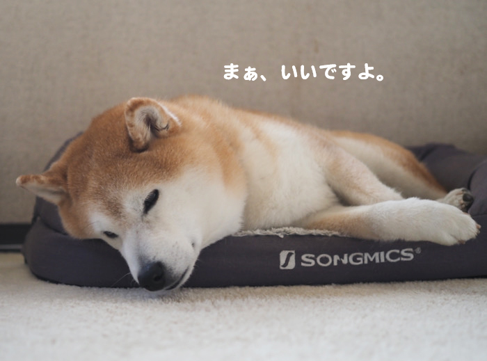 4日夕ブログ８