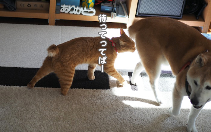 20日ブログ４