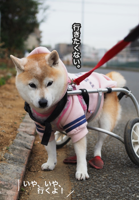 6日ブログ３