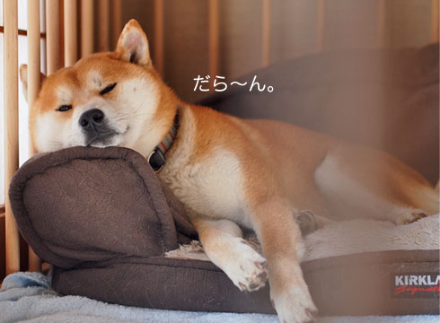 14日ブログ6.jpg