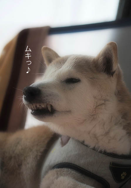 22日ブログ5