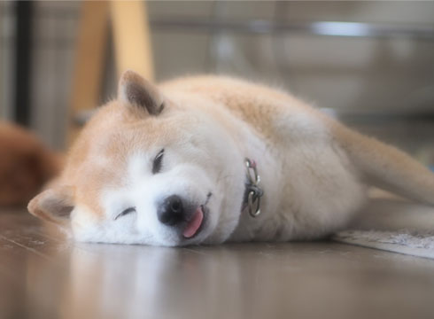 27日ブログ4.jpg
