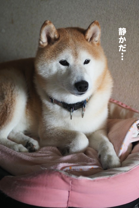 14日夕ブログ２