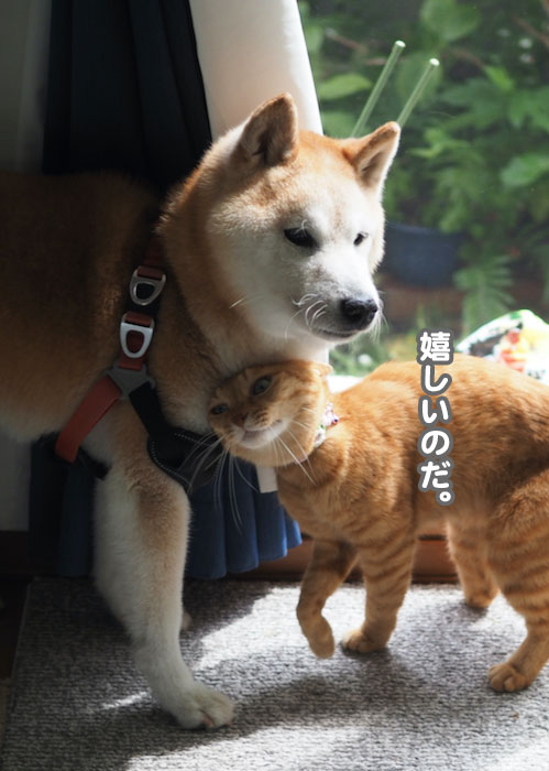 8日夕ブログ４