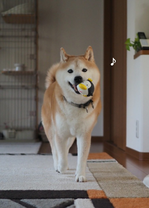 1日夕ブログ２