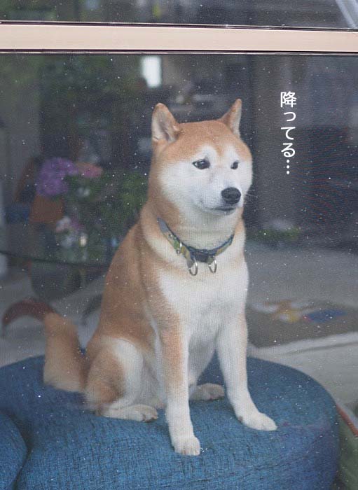 22日ブログ７