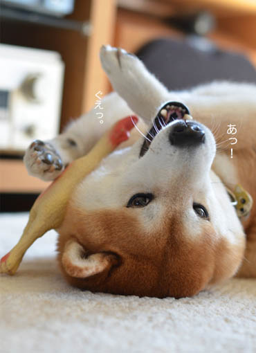 16日ブログ１０.jpg