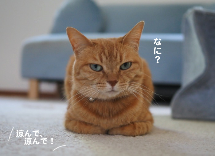 28日夕ブログ８