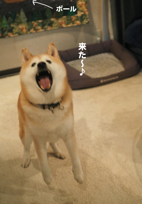 25日夕ブログ１３