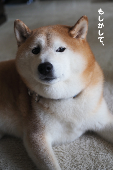 14日ブログ３