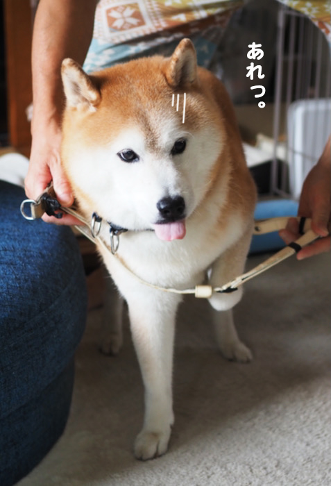 14日夕ブログ２