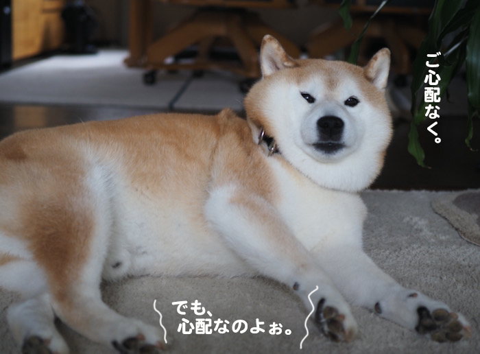 4日夕ブログ６