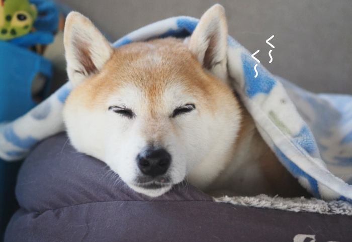23日夜ブログ１０