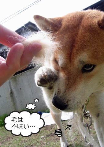 28日ブログ9.jpg