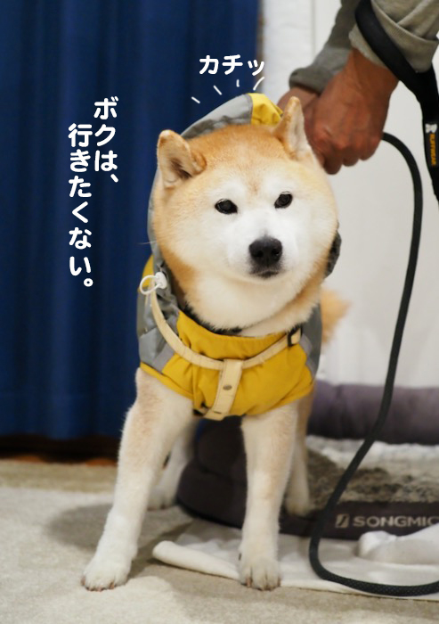 12日ブログ４