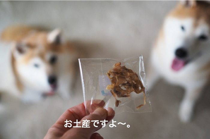10日ブログ４