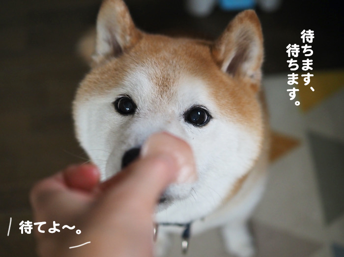 18日夜ブログ７