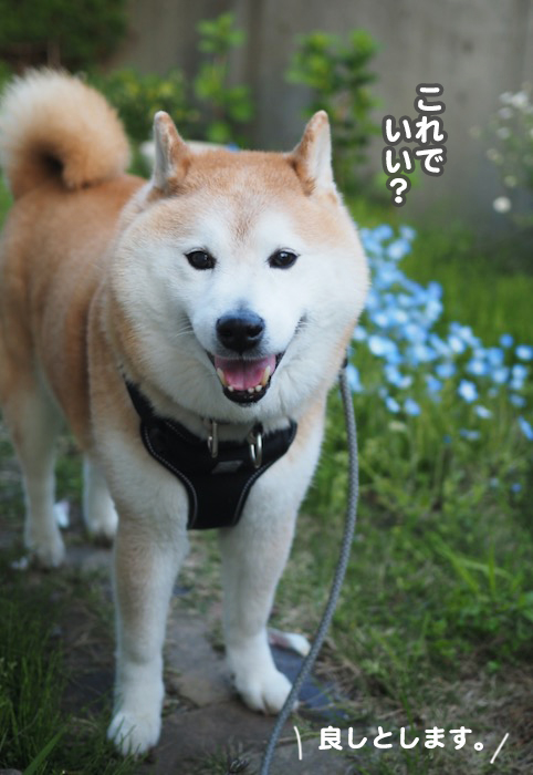 12日夕ブログ４