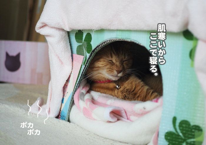 13日夕ブログ７